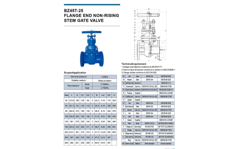 FLANGE BZ45T-25