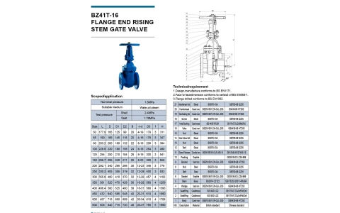 FLANGE RISING VALVE BZ41T-16
