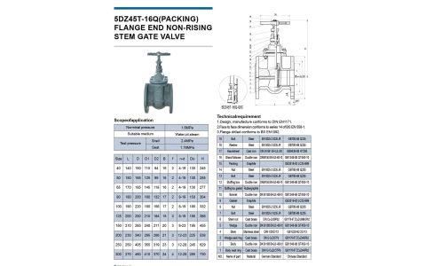 FLANGE_5DZ45T-16Q(PACKING)