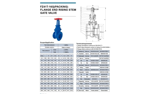 FLANGE_RISING_FZ41T-16Q(PACKING)