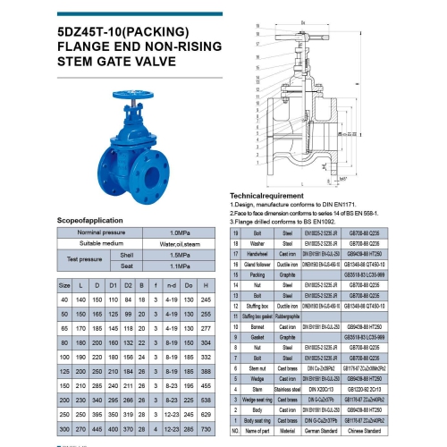 FLANGE_5DZ45T-10(PACKING)