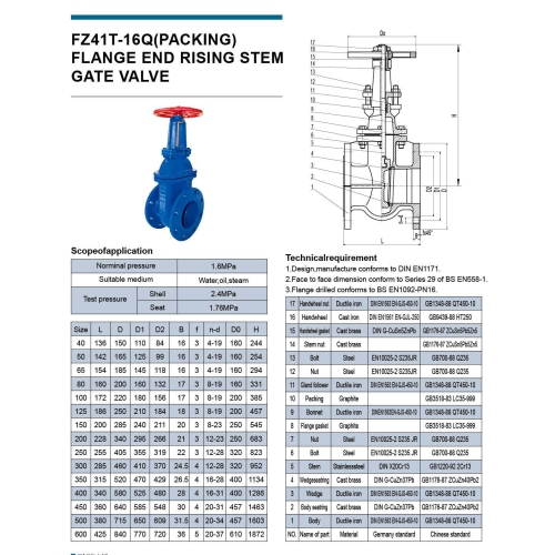 FLANGE_RISING_FZ41T-16Q(PACKING)